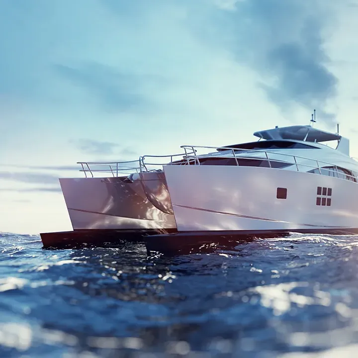 Limpieza profunda de alfombras en seco con técnica de barrido vertical.