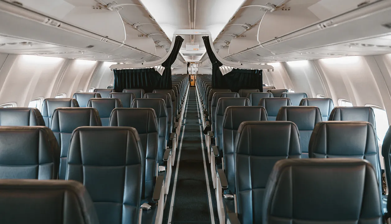 Limpieza profunda de alfombras en seco con técnica de barrido vertical.